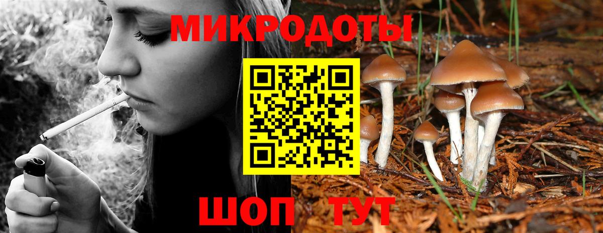 Элиста  Псилоцибиновые грибы Magic Shrooms  Вход с VPN 