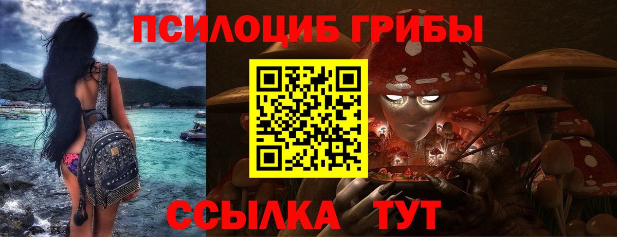 Галлюциногенные грибы Psilocybe Элиста